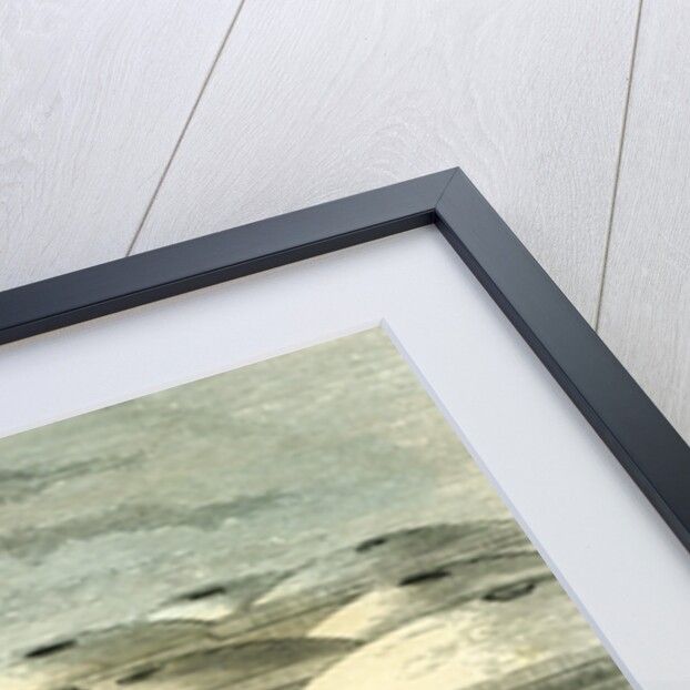 Arequipa Roofes 1869 Peru by Anonymous