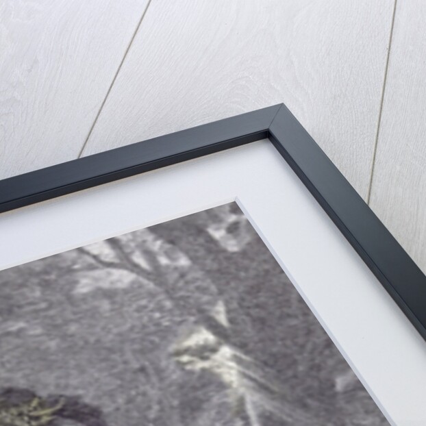 Love Me Love My Dog. 1873 by Anonymous