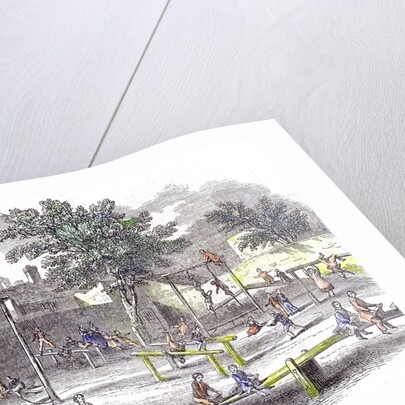 Gymnasia and Play Ground of the Children of the Infant School by Anonymous