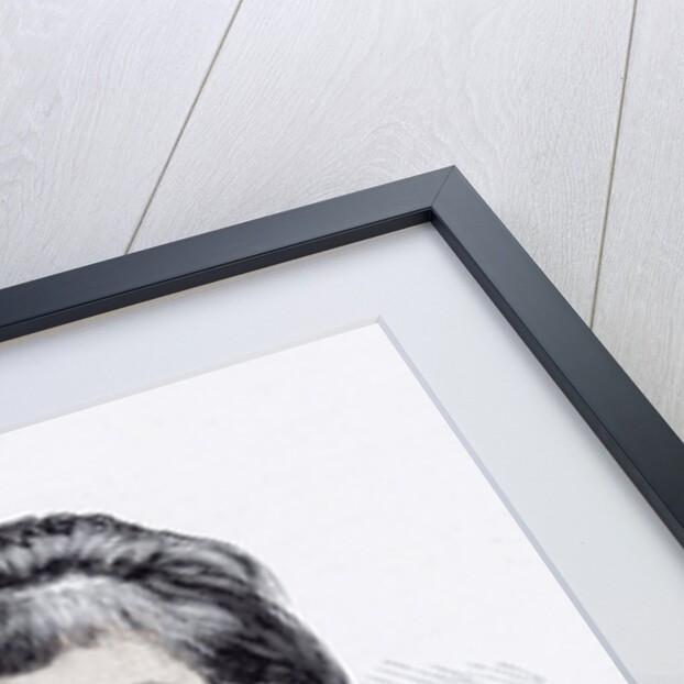 Girl in 1892 by Anonymous