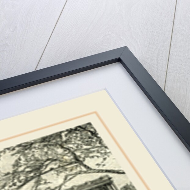 The New York City Hall, 1891 by Anonymous