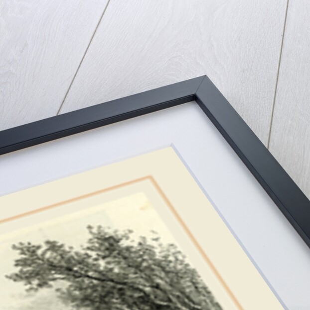 Memorial Hall, Harvard College, 19th Century, America by Anonymous