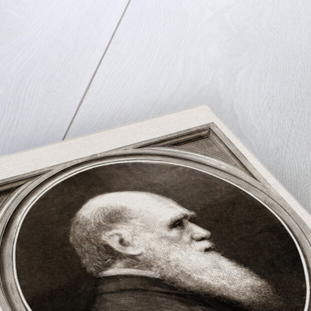 Charles R. Darwin, Esq. F.r.s. by Anonymous