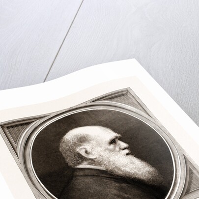 Charles R. Darwin, Esq. F.r.s. by Anonymous