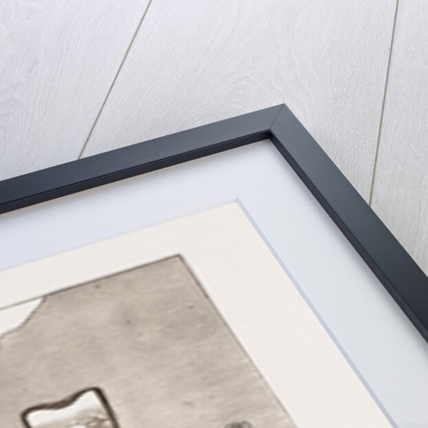 An Incident In Chinese Mythology: The Emperor Miao Chwang And The Goddess Kwan-yin by Anonymous