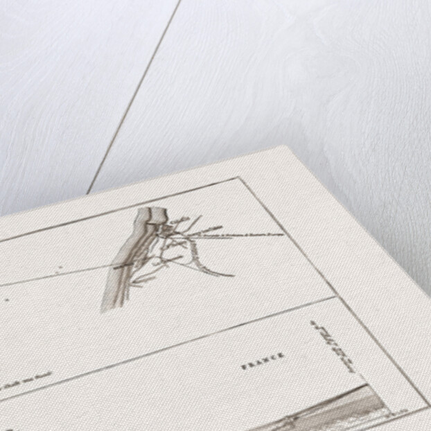 From Dover To Calais: Plan Of The New Channel Tunnel Scheme, 1875 by Anonymous