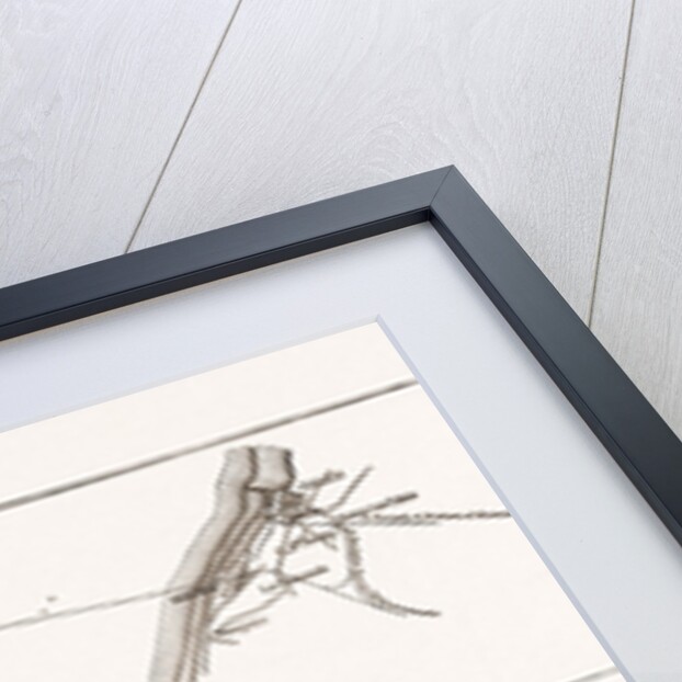 From Dover To Calais: Plan Of The New Channel Tunnel Scheme, 1875 by Anonymous