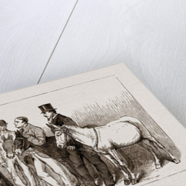 Annual Meeting Of The Golden Lane Costermongers' Mission: The Earl Of Shaftesbury Reviewing The Donkeys, 1875 by Anonymous