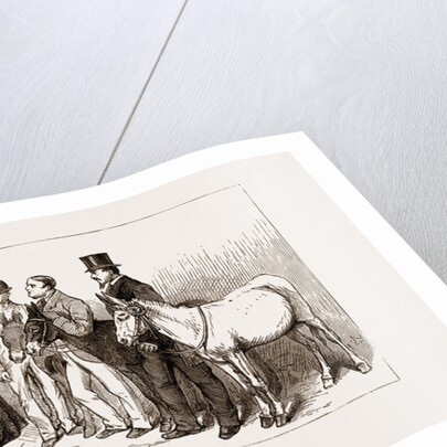 Annual Meeting Of The Golden Lane Costermongers' Mission: The Earl Of Shaftesbury Reviewing The Donkeys, 1875 by Anonymous