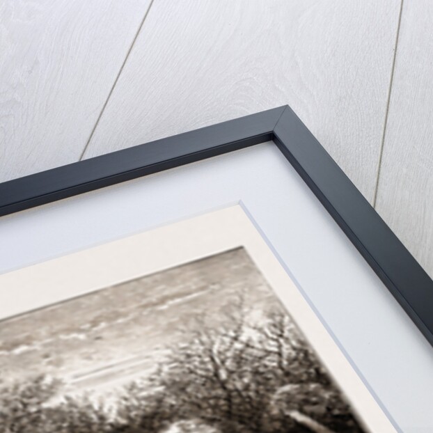 The Shakers' Present Encampment In The New Forest by Anonymous