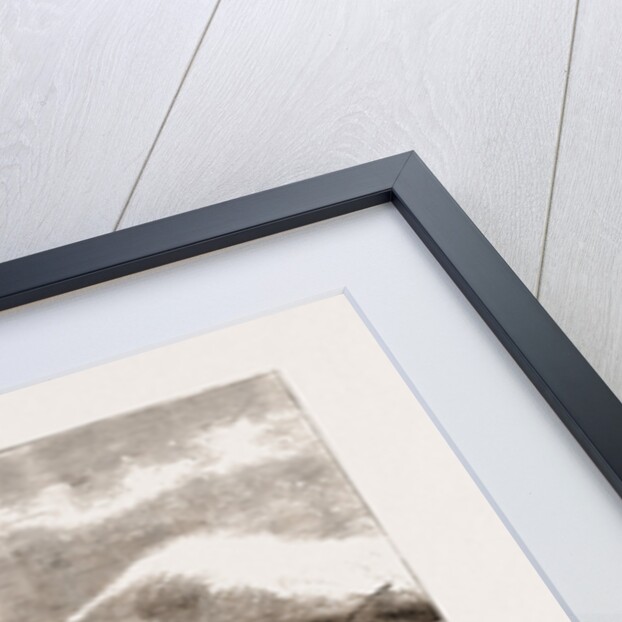 Salmon Fishing In Loch Tay, 1875 by Anonymous