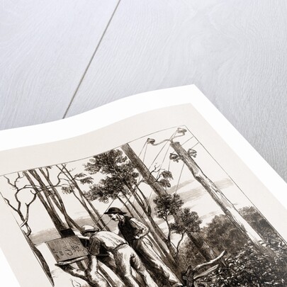 The Recent Transit Of Venus: Preparing For Work At An Australian Bush Station, 1875 by Anonymous