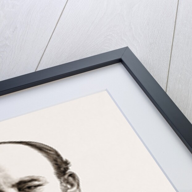 Captain G.s. Nares, Commander Of The Arctic Expedition by Anonymous