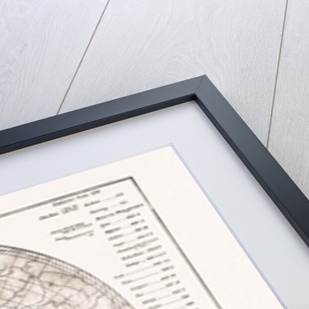The Arctic Expedition: Chart Of The Polar Regions, 1875 by Anonymous