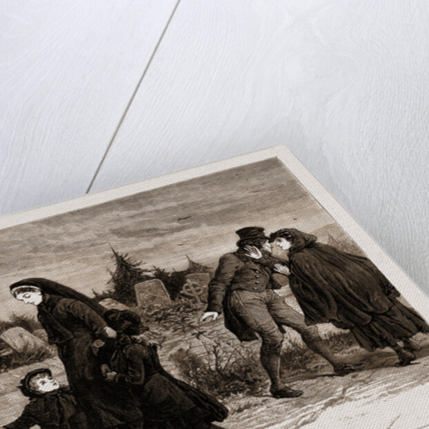 The Land Agitation In Ireland: The Widow And The Assassin, 1881 by Anonymous
