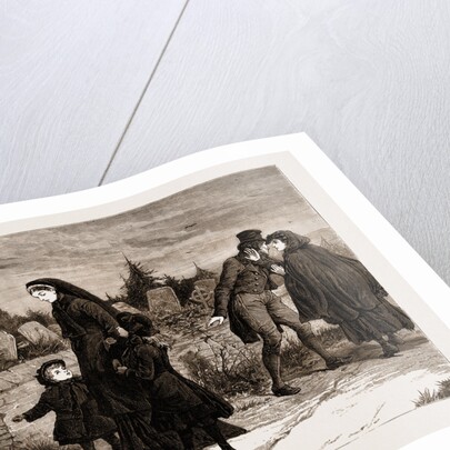 The Land Agitation In Ireland: The Widow And The Assassin, 1881 by Anonymous