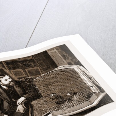The Late Mr. Frank Buckland at Home, 1881 by Anonymous