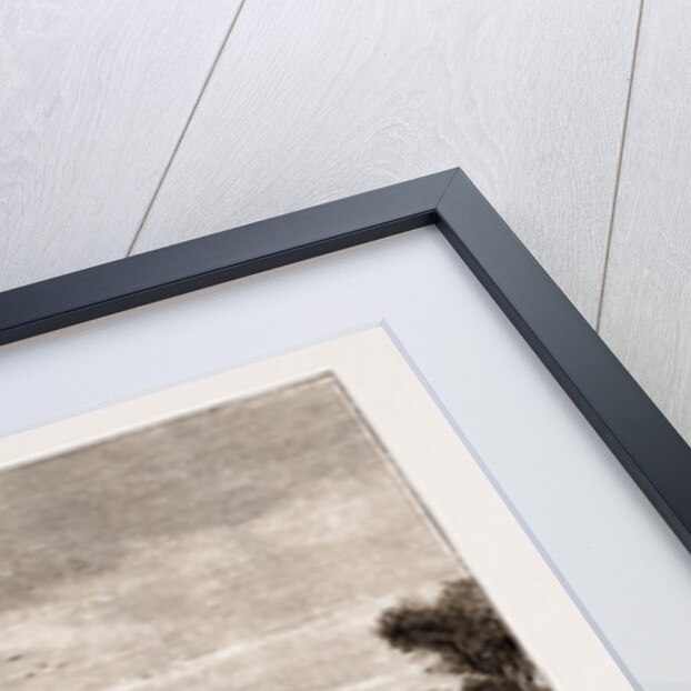 The Royal Agricultural College, Cirencester by Anonymous