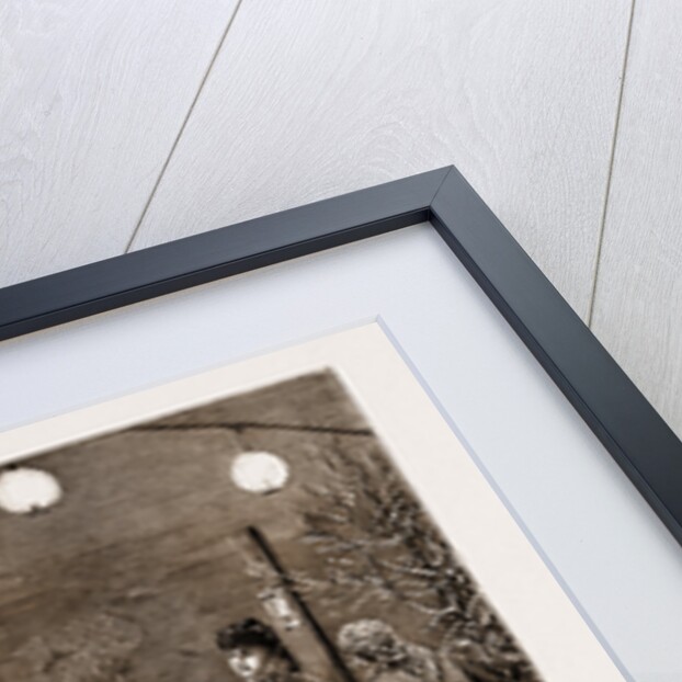 Winter Sports In Canada: Lord Lorne's Tobogganing Party At Government House, 1881 by Anonymous