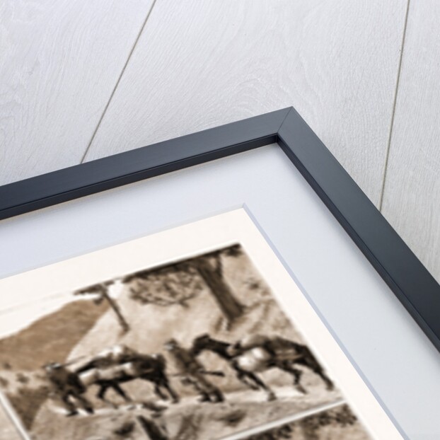 Deer Hunting In The coast Range Mountains by Anonymous