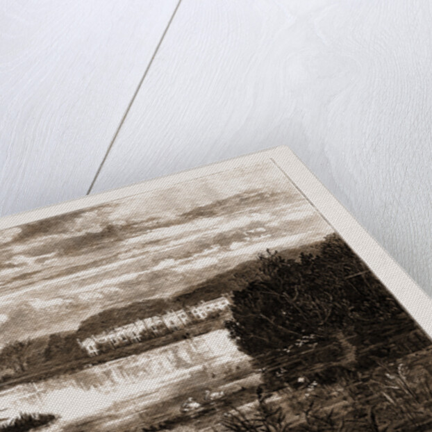 The Empress Of Austria In England, UK by Anonymous