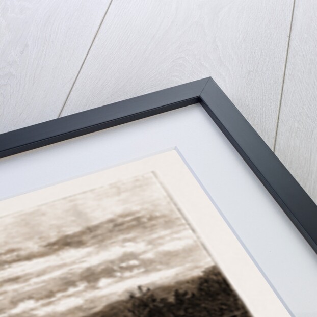 The Empress Of Austria In England, UK by Anonymous