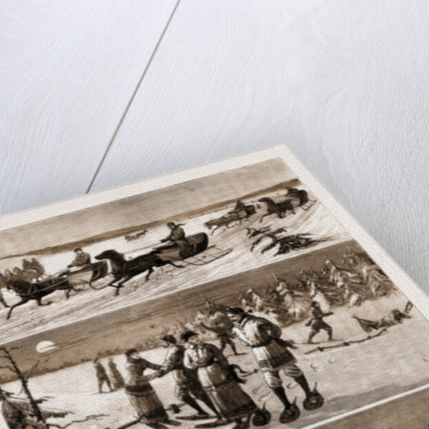 Winter Sports At Halifax, Nova Scotia by Anonymous