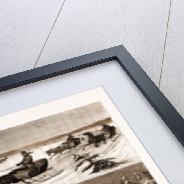 Winter Sports At Halifax, Nova Scotia by Anonymous