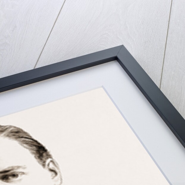 Alexander III. by Anonymous