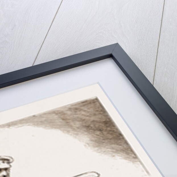 The Russo-turkish War: The Czar Alexander II. And The Grand Duke Nicholas Watching The Attack On Plevna, 1877 by Anonymous