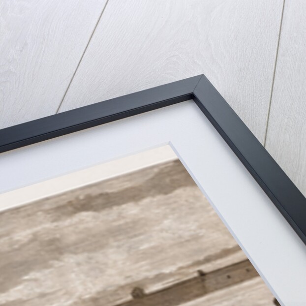 The Assassination Of Czar Alexander II. Of Russia, 1881: Preparations For The Funeral Procession by Anonymous