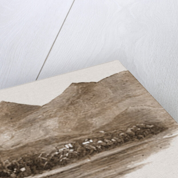 The Earthquake At Scio, 1881: East Coast Of The Island: Showing The Subsidence From Former Earthquakes. by Anonymous