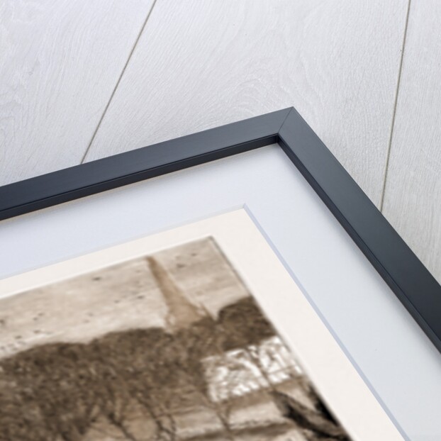 May Day Fete At Worsley, Manchester by Anonymous