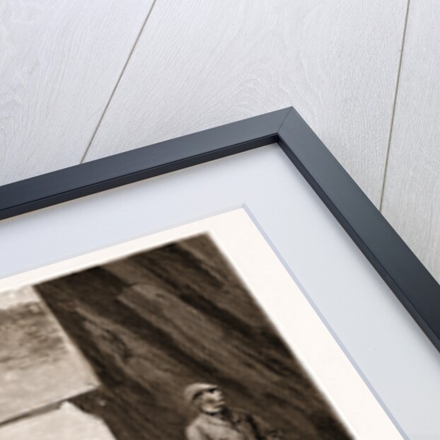 An Ascent Of The Morne Brabante by Anonymous