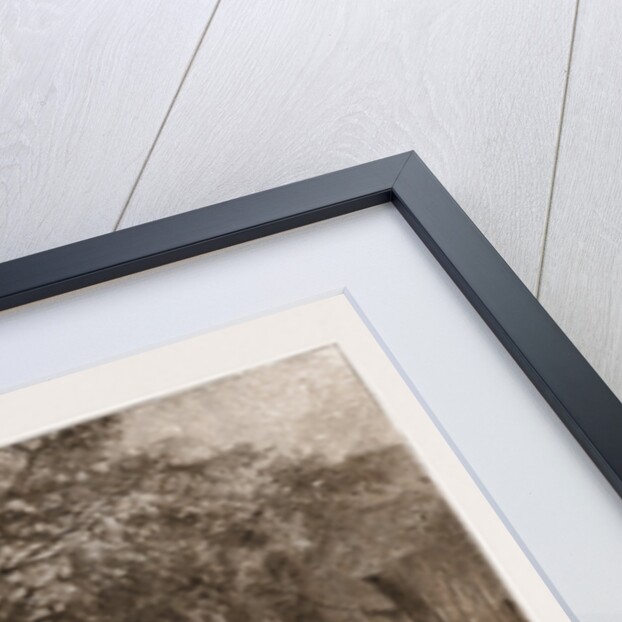 Rogation Day In The Olden Times: Beating The Bounds, 1881 by Anonymous