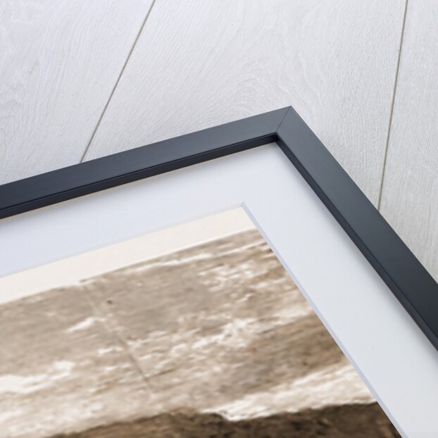 The French Occupation Of Tunis, 1881: The Village Of Saudi Bou Said by Anonymous