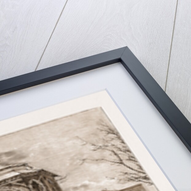 The Persian Envoy Visiting The Shrine Marking The Spot Where The Late Czar Alexander II. Of Russia Was Assassinated At St. Petersburg, 1881 by Anonymous