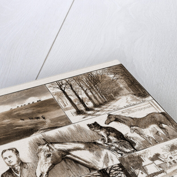 A Day At The Russley Stables, 1881; A Horse And A Cat by Anonymous