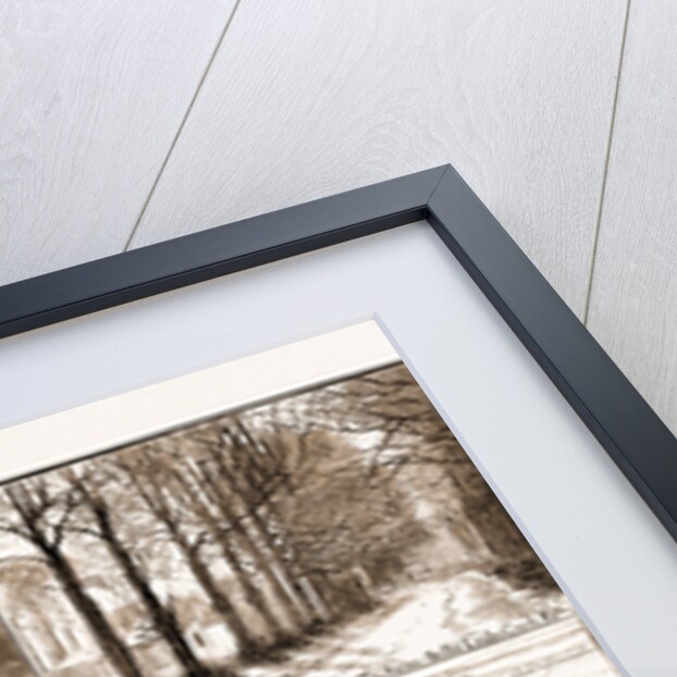 A Day At The Russley Stables, 1881; A Horse And A Cat by Anonymous