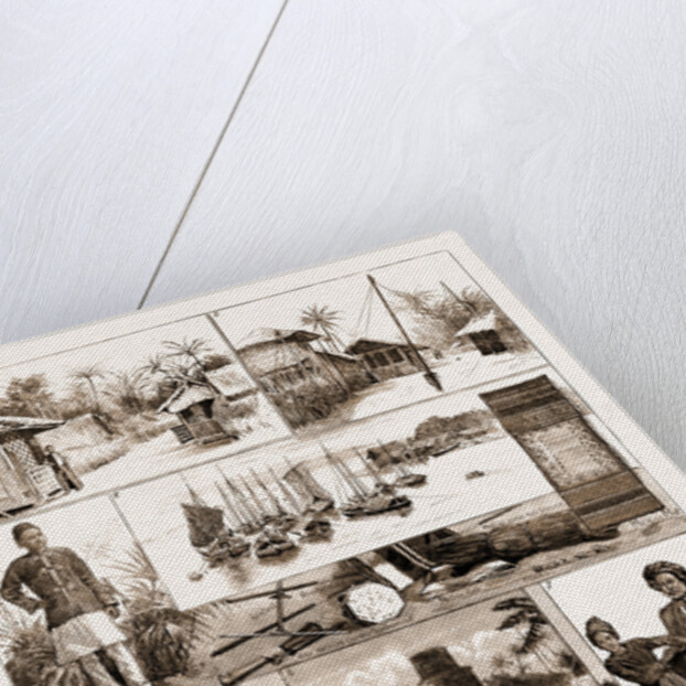 In The Maldive Islands, Indian Ocean by Anonymous