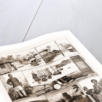 In The Maldive Islands, Indian Ocean by Anonymous