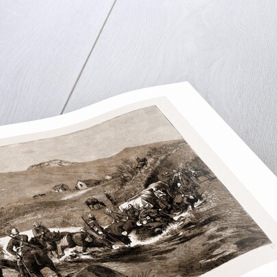 The Revolt In The Transvaal, South Africa by Anonymous