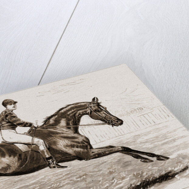 Iroquois, The Winner Of The Derby Of 1881 by Anonymous