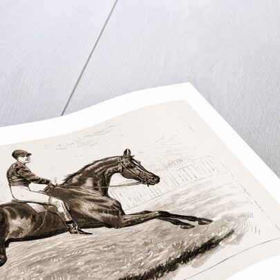 Iroquois, The Winner Of The Derby Of 1881 by Anonymous