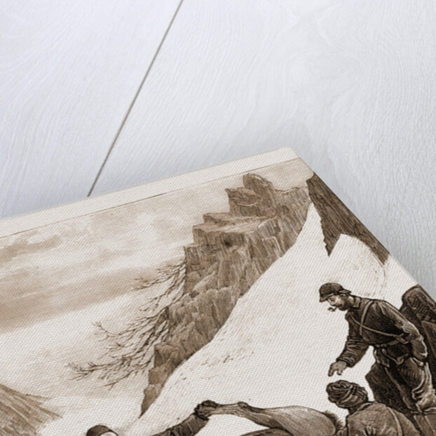 Sport In Kashmir: Skinning A Snow Bear, 1881 by Anonymous