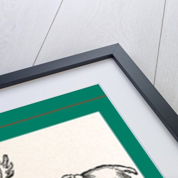 Scheffer, Oxford, 1674 by Anonymous