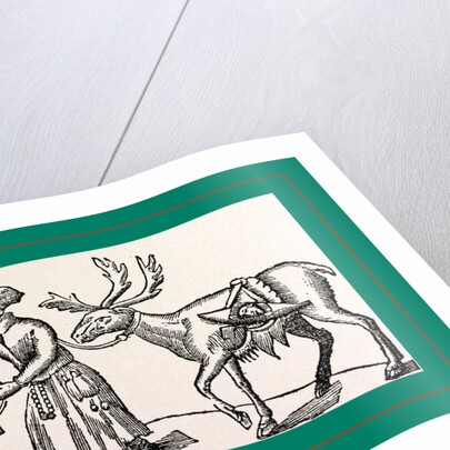 Scheffer, Oxford, 1674 by Anonymous