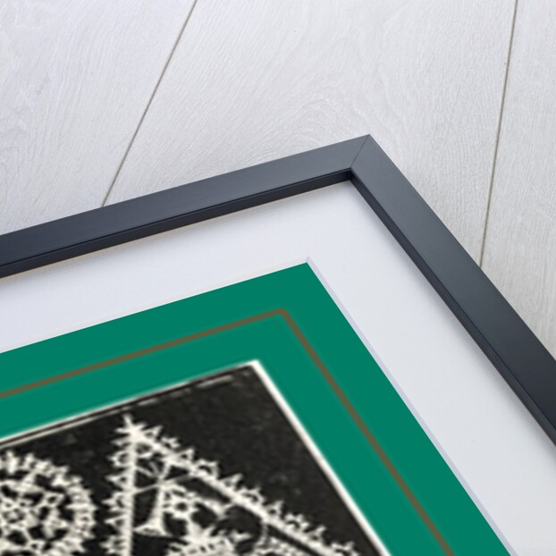 Vecellio Venezia, 1591 by Anonymous