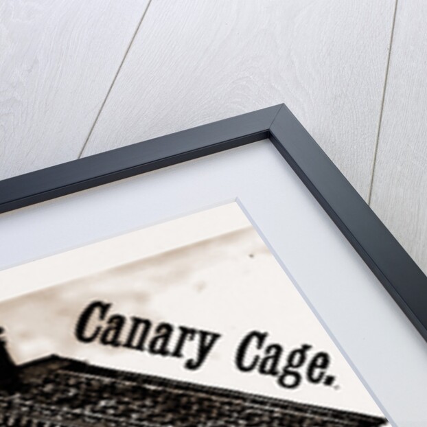 Nearly the Whole Front Is A Wheel With Perches. the Bird Hopping From Perch to Perch Gives Motion by Anonymous