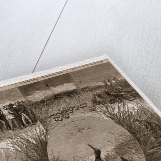 The Snipe Drawn by Gaston Fay